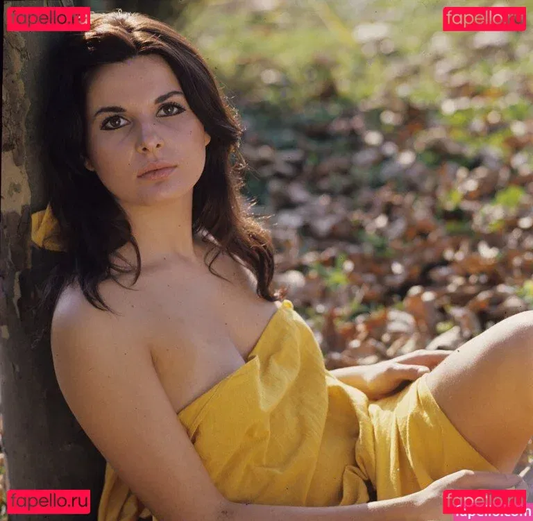 Vintage Starlets Onlyfans Photo Gallery 