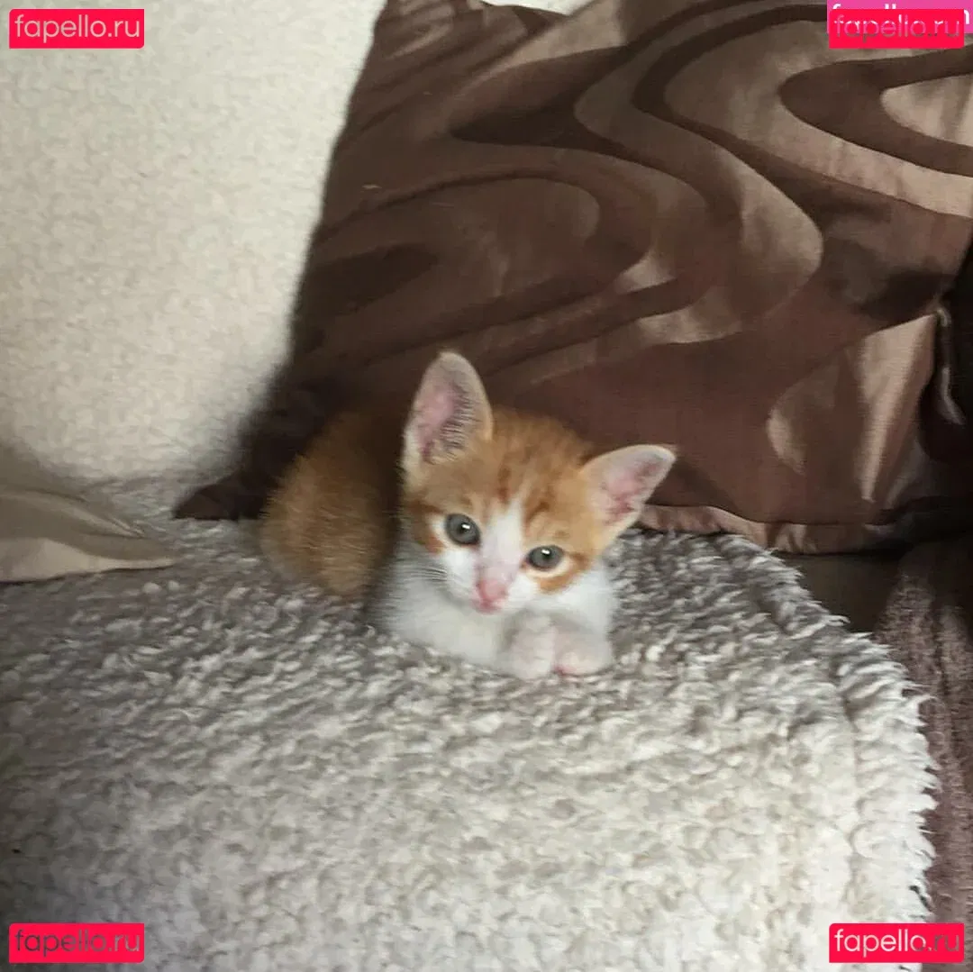 Gatina 22 Onlyfans Photo Gallery 