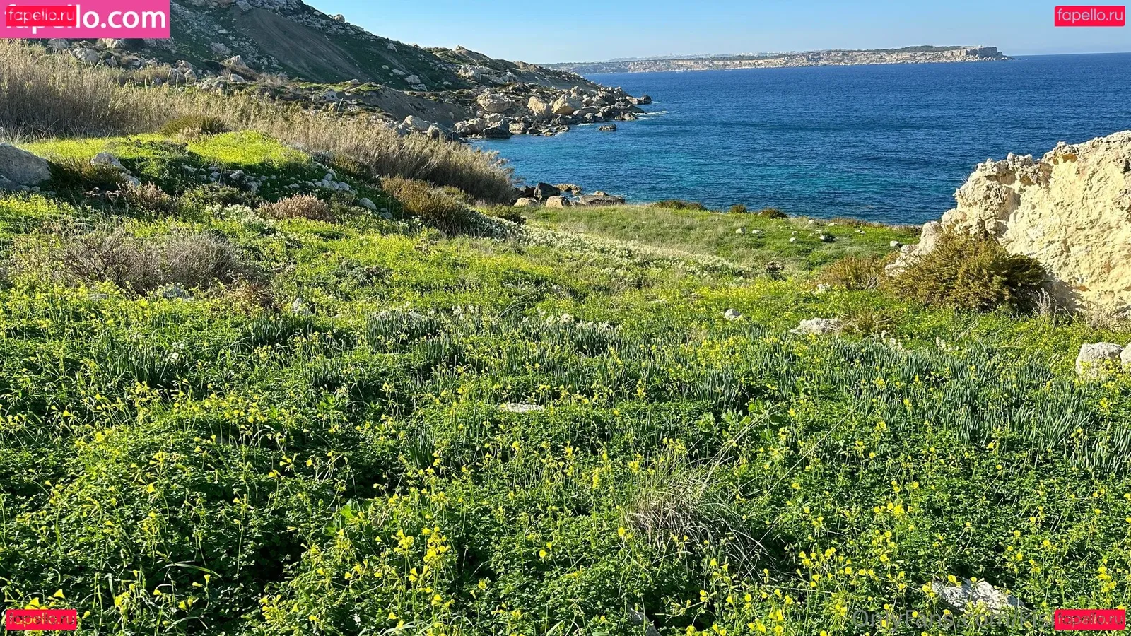 kisicafree Onlyfans Photo Gallery 