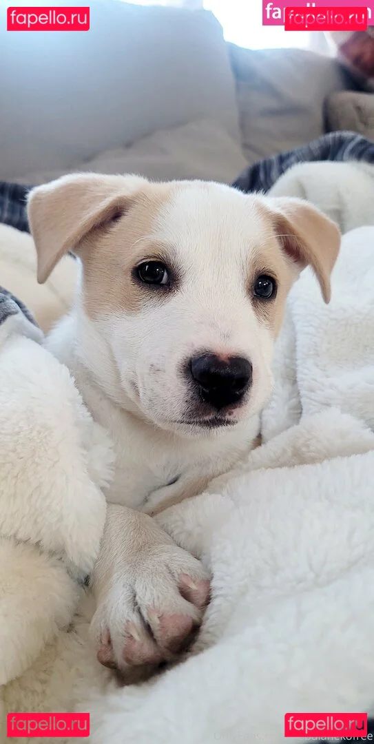 nebulanekofree Onlyfans Photo Gallery 