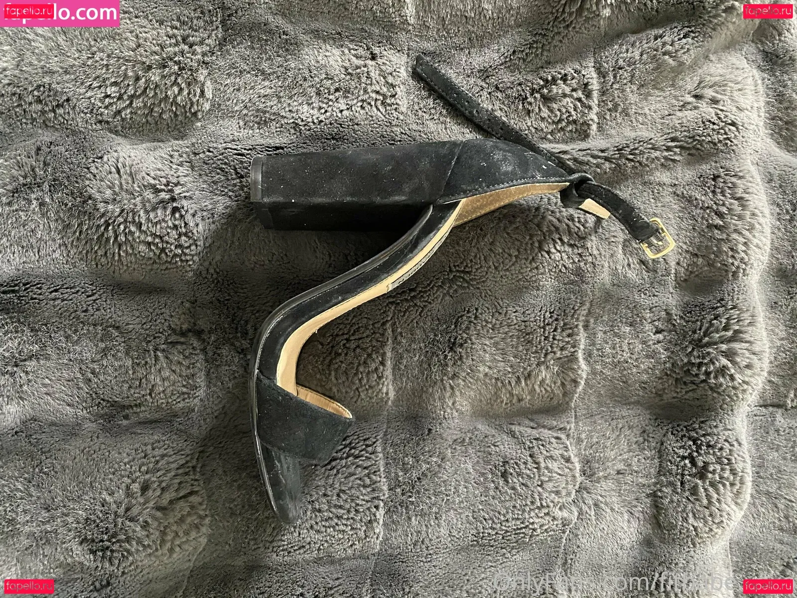 zoeytaylor.xxx Onlyfans Photo Gallery 