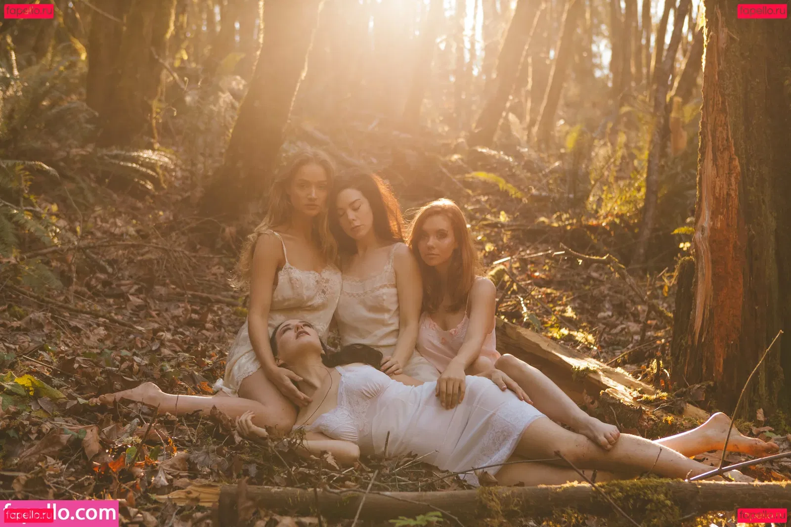 Kaila D Onlyfans Photo Gallery 