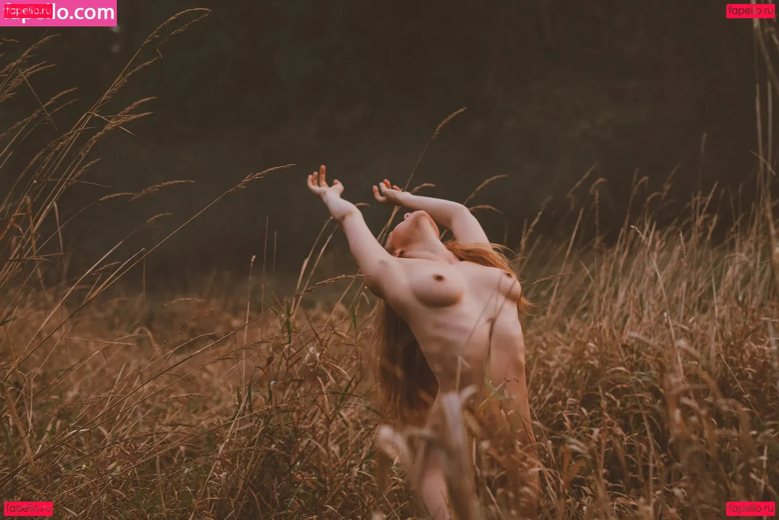 Kaila D Onlyfans Photo Gallery 