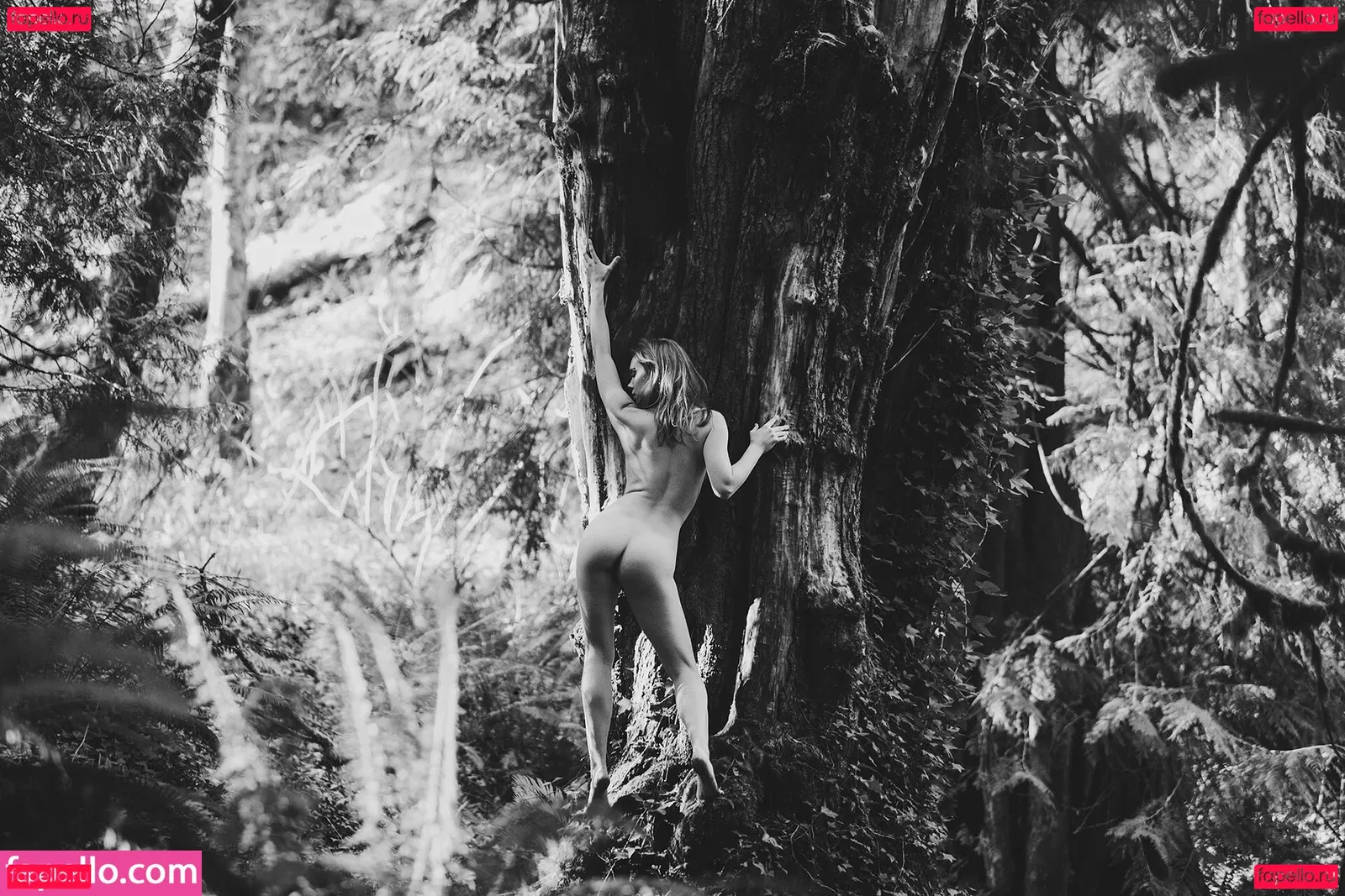 Kaila D Onlyfans Photo Gallery 