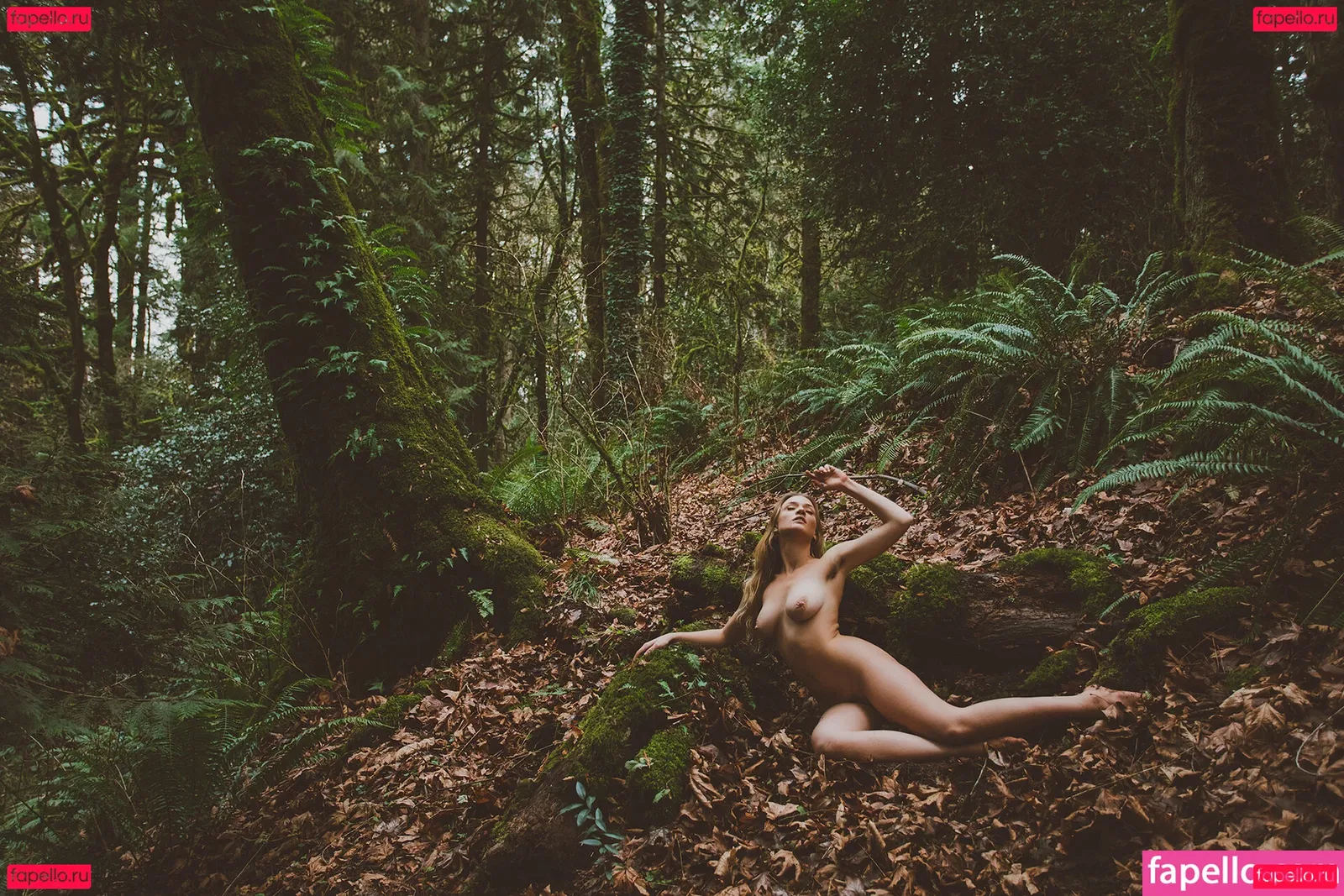 Kaila D Onlyfans Photo Gallery 