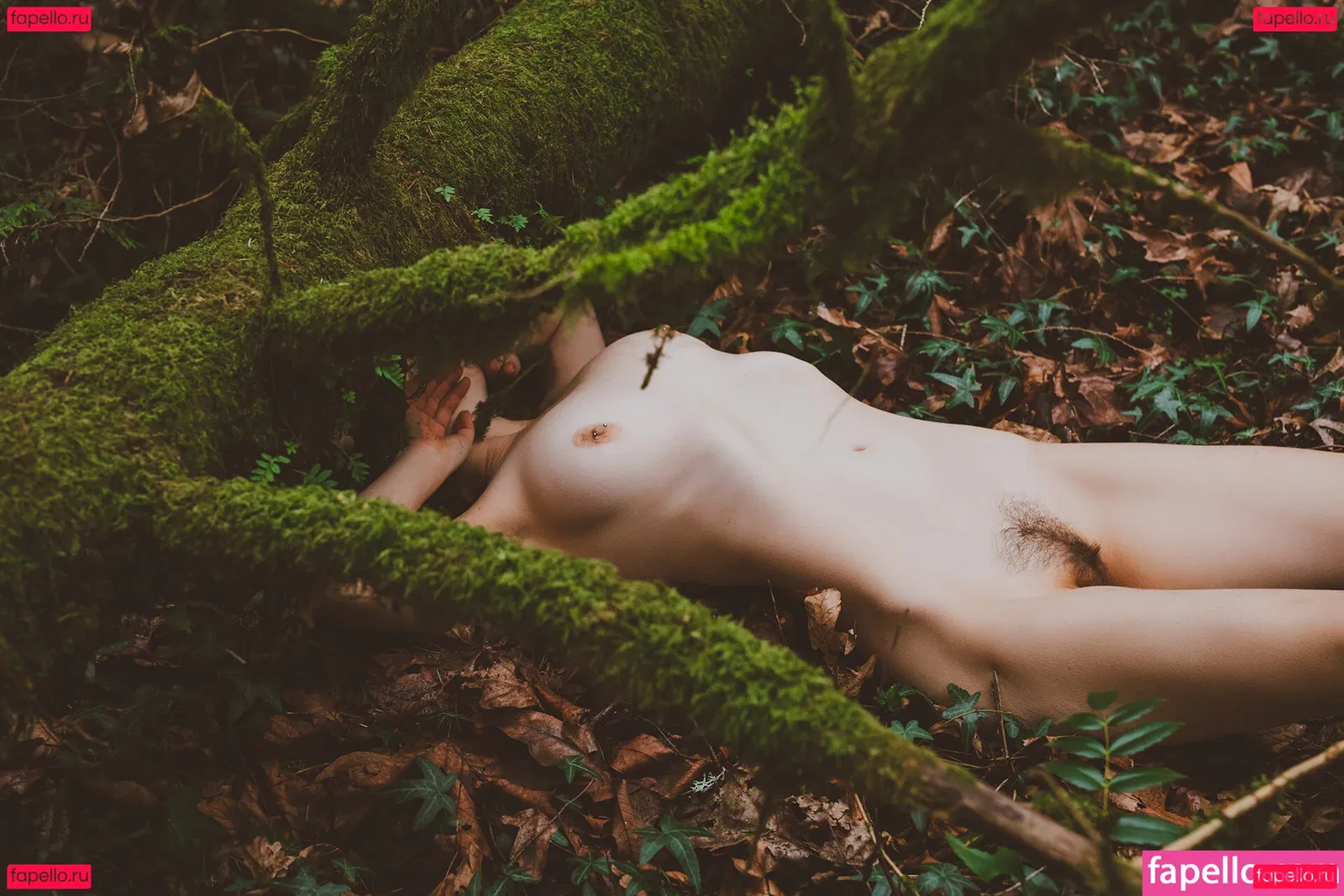 Kaila D Onlyfans Photo Gallery 