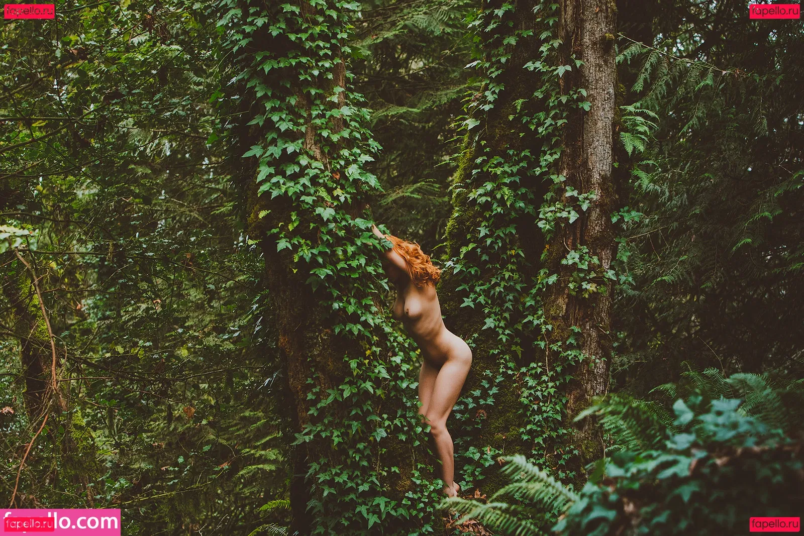 Kaila D Onlyfans Photo Gallery 