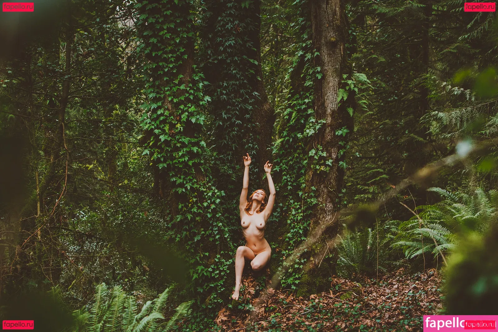 Kaila D Onlyfans Photo Gallery 