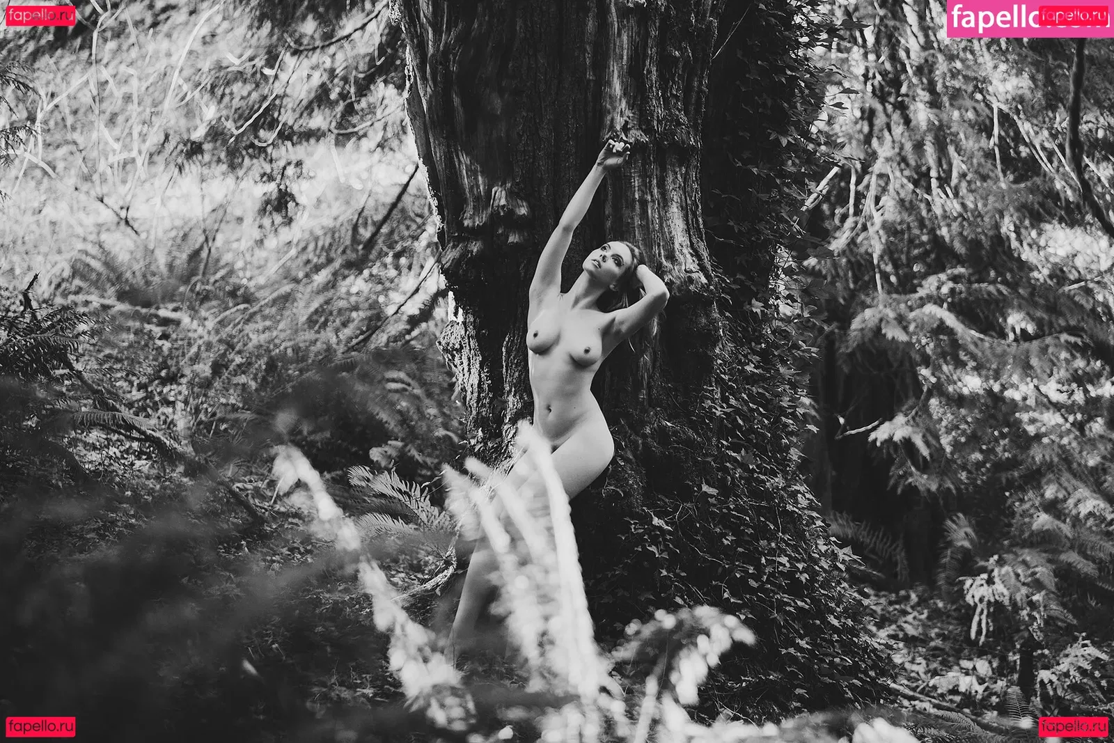 Kaila D Onlyfans Photo Gallery 