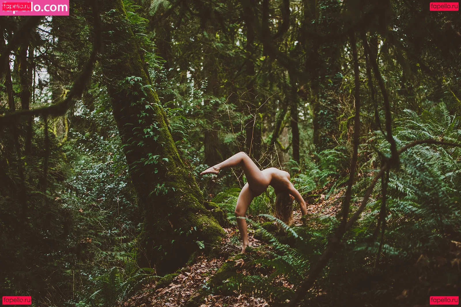 Kaila D Onlyfans Photo Gallery 