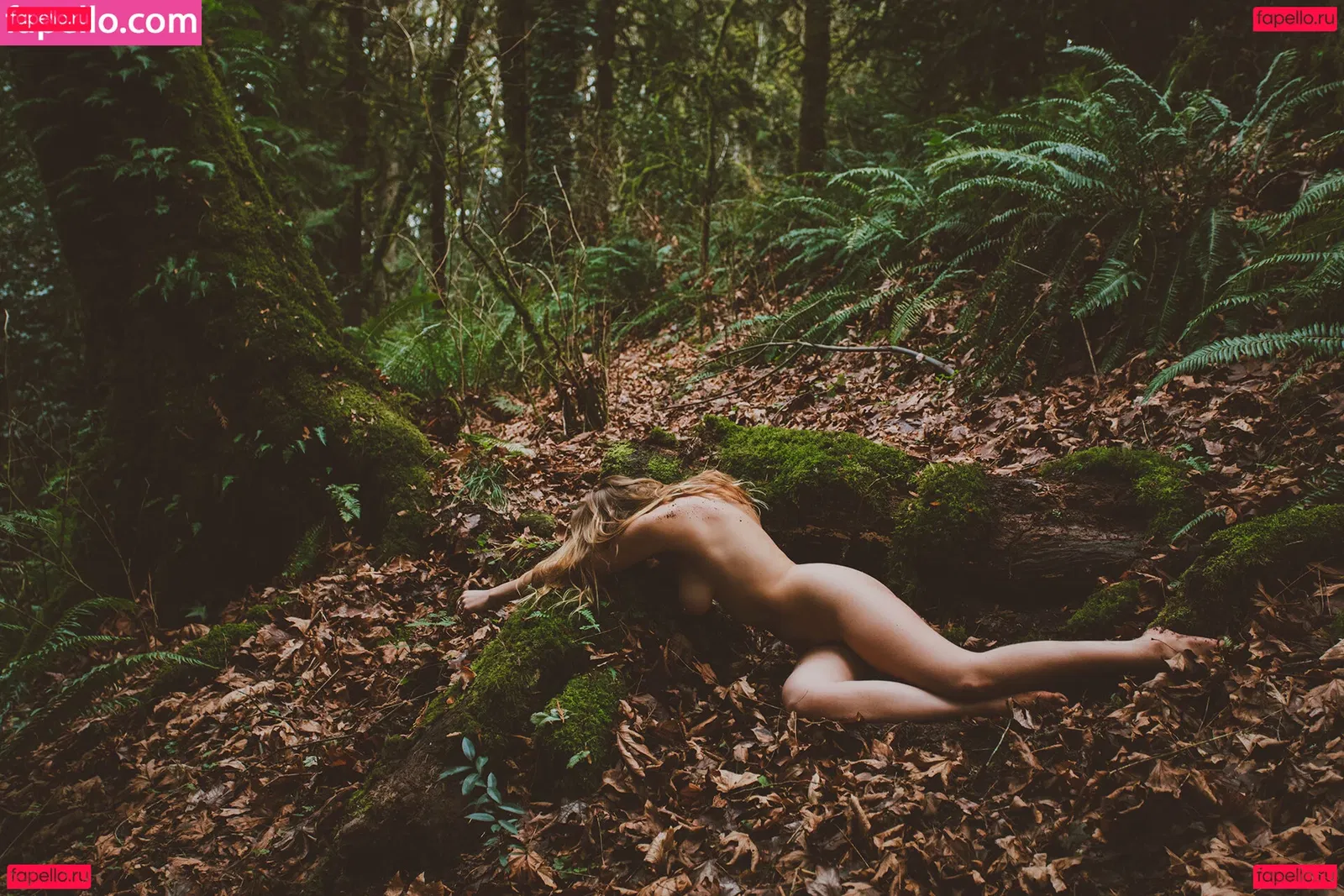 Kaila D Onlyfans Photo Gallery 