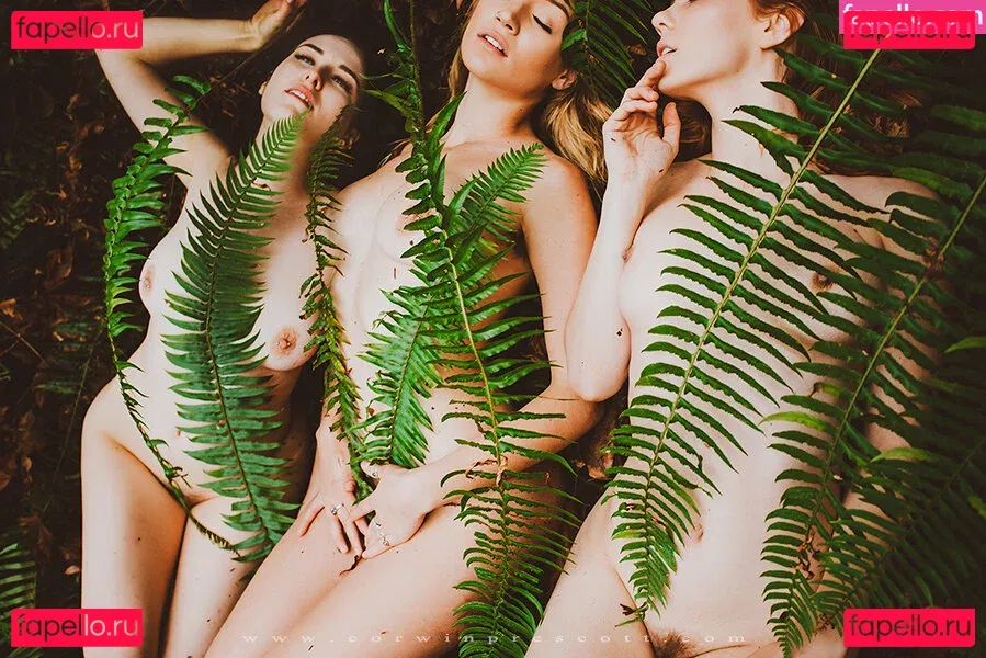 Kaila D Onlyfans Photo Gallery 