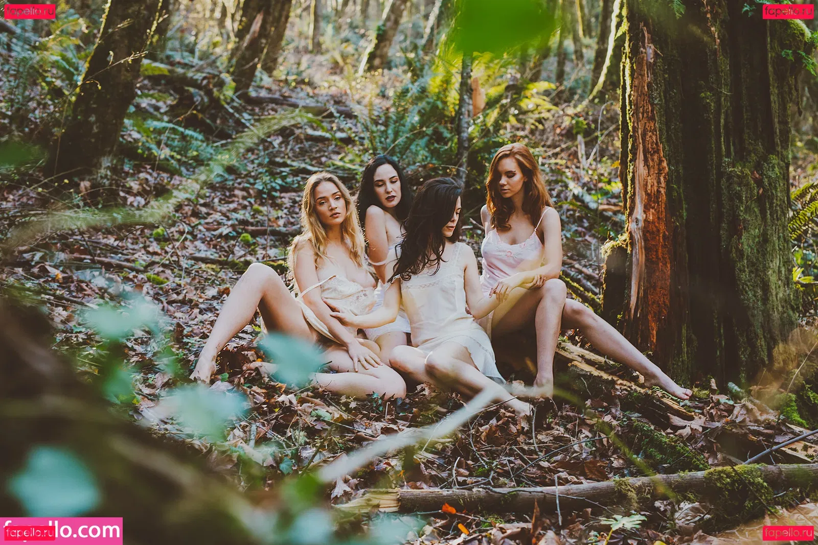 Kaila D Onlyfans Photo Gallery 