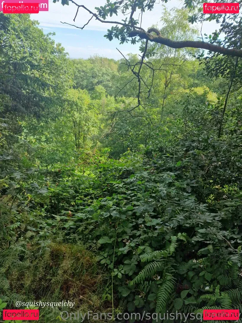 squishysquelchy Onlyfans Photo Gallery 