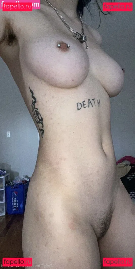 Radianttoilet Onlyfans Photo Gallery 