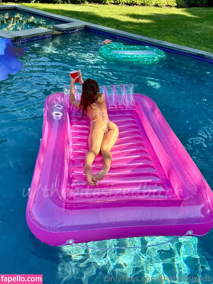 thebitesizedb Onlyfans Photo Gallery 