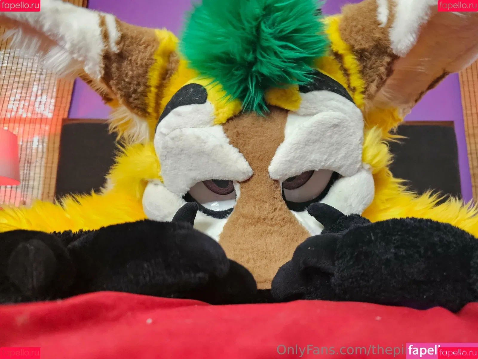 thepineapplefox Onlyfans Photo Gallery 