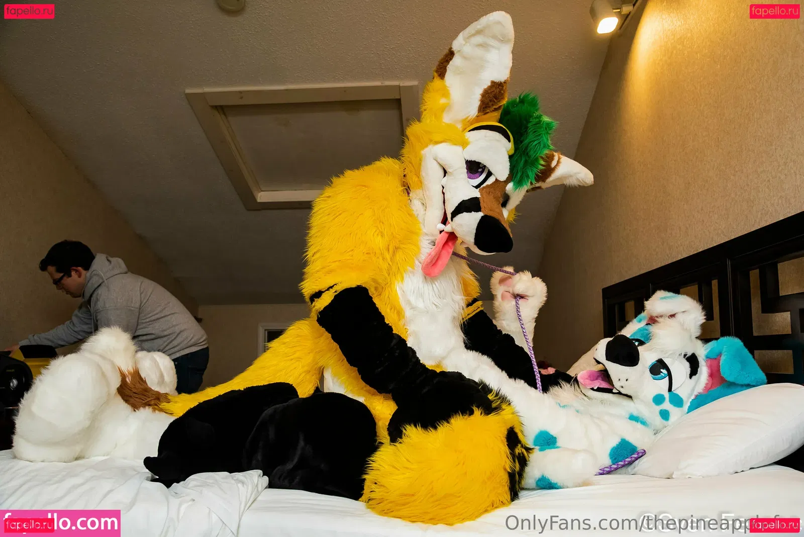 thepineapplefox Onlyfans Photo Gallery 