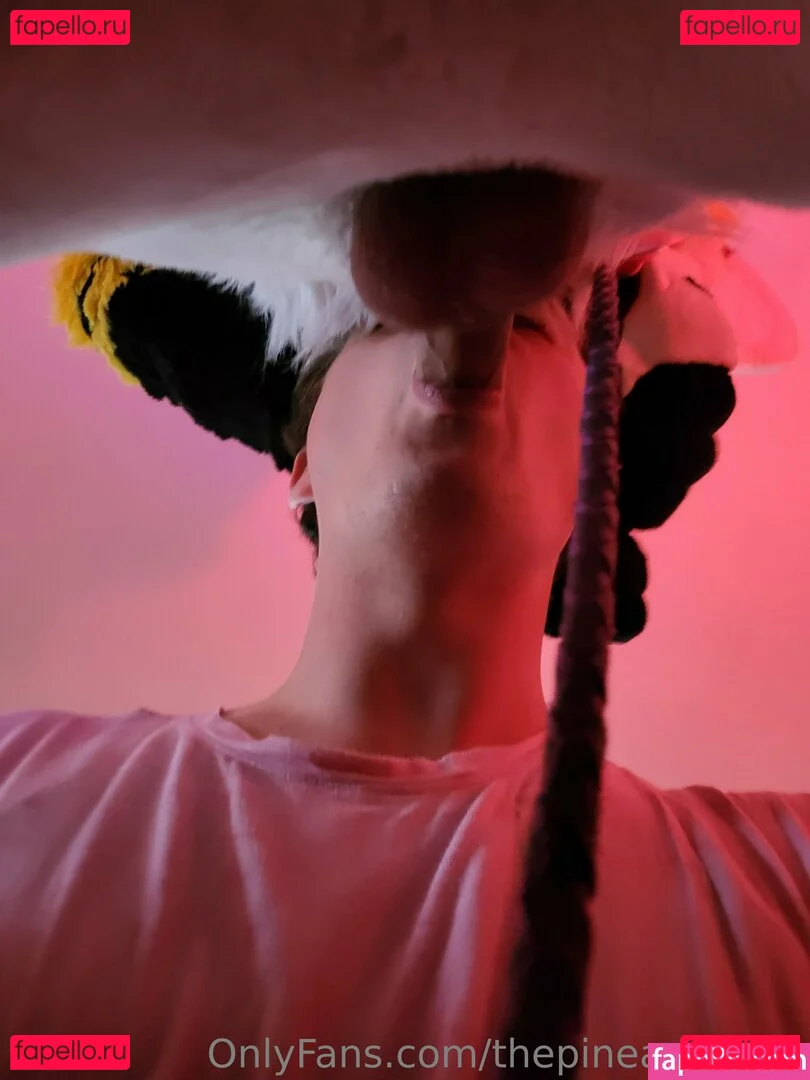 thepineapplefox Onlyfans Photo Gallery 