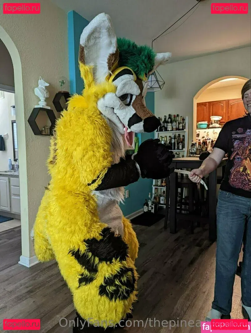 thepineapplefox Onlyfans Photo Gallery 