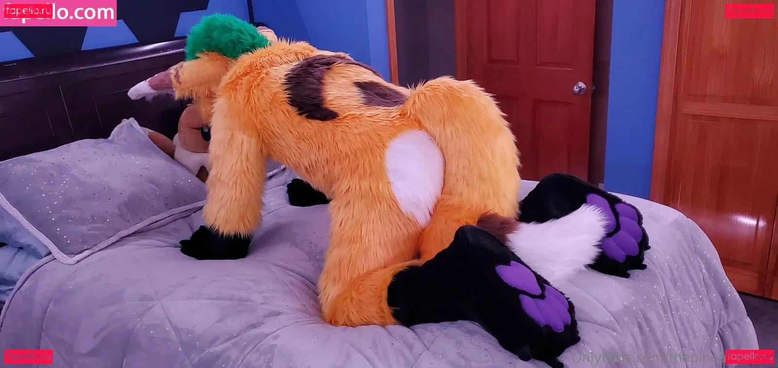 thepineapplefox Onlyfans Photo Gallery 