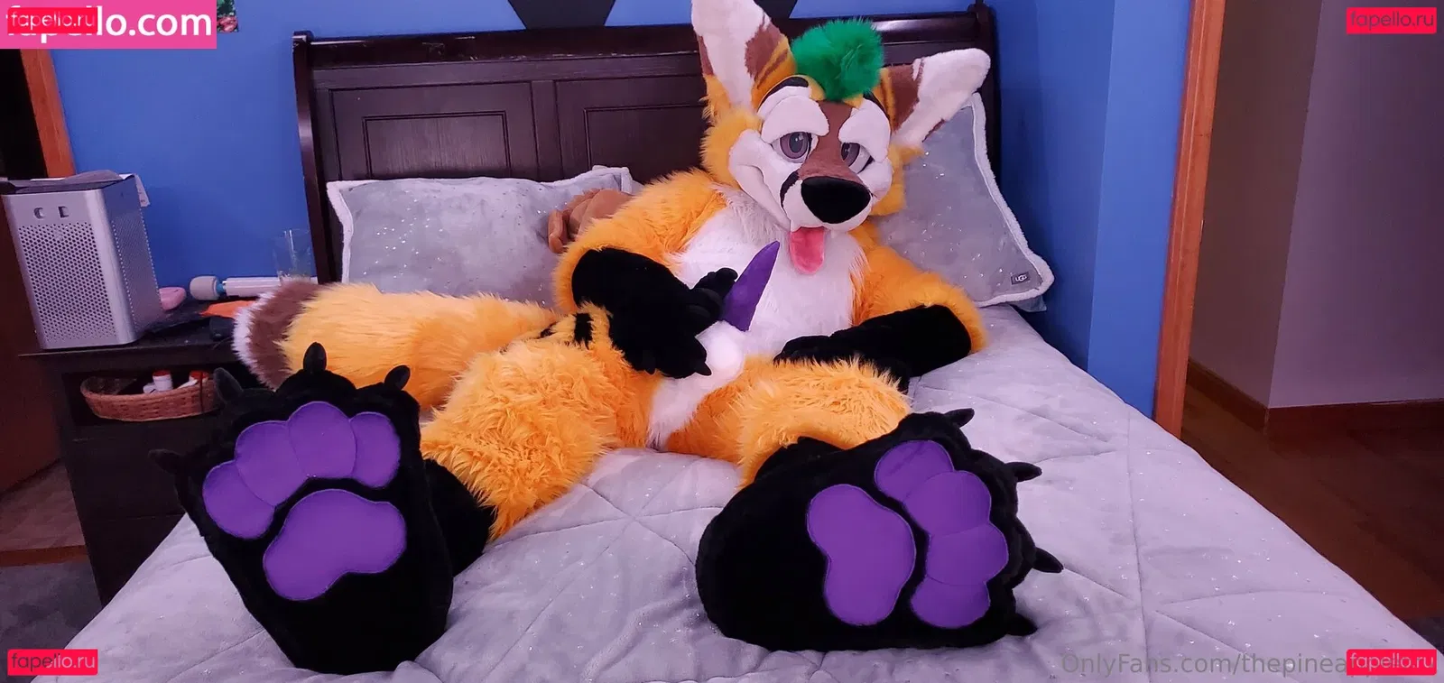 thepineapplefox Onlyfans Photo Gallery 