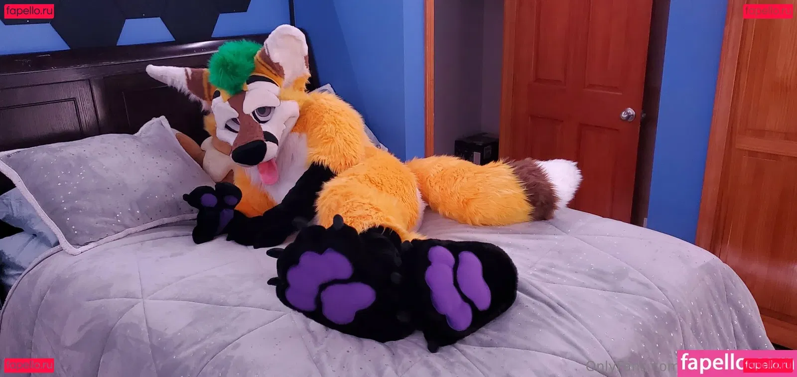 thepineapplefox Onlyfans Photo Gallery 