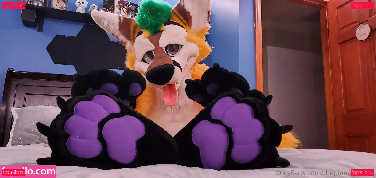 thepineapplefox Onlyfans Photo Gallery 