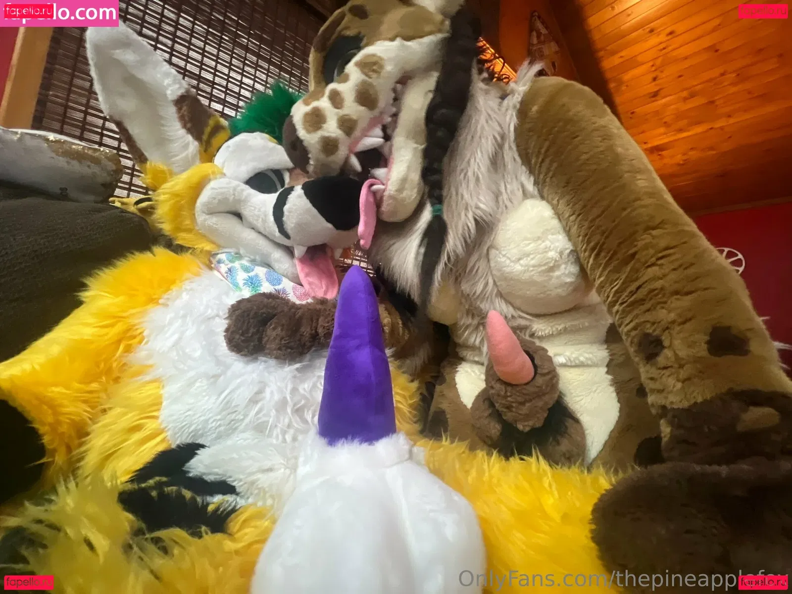 thepineapplefox Onlyfans Photo Gallery 