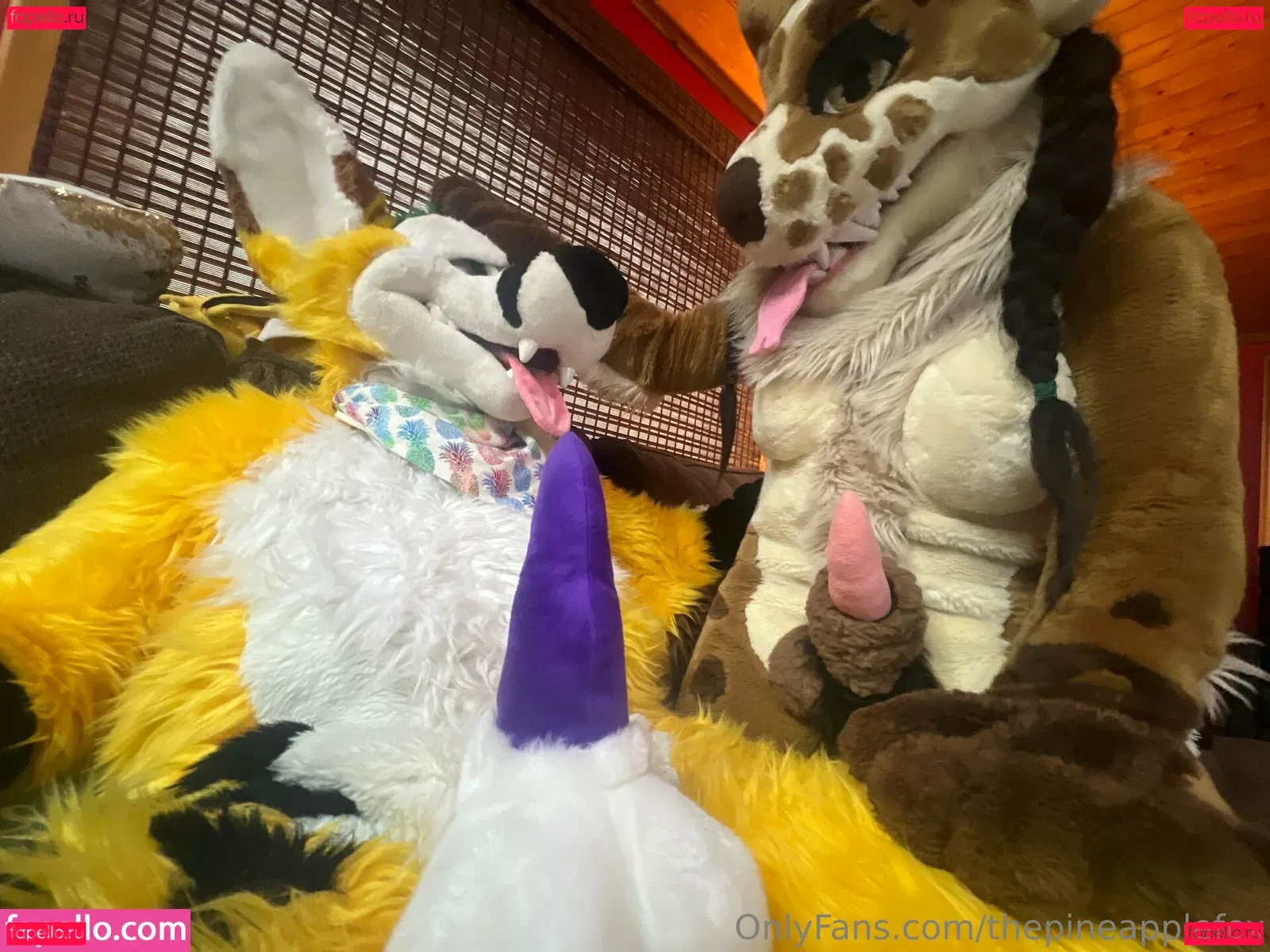 thepineapplefox Onlyfans Photo Gallery 