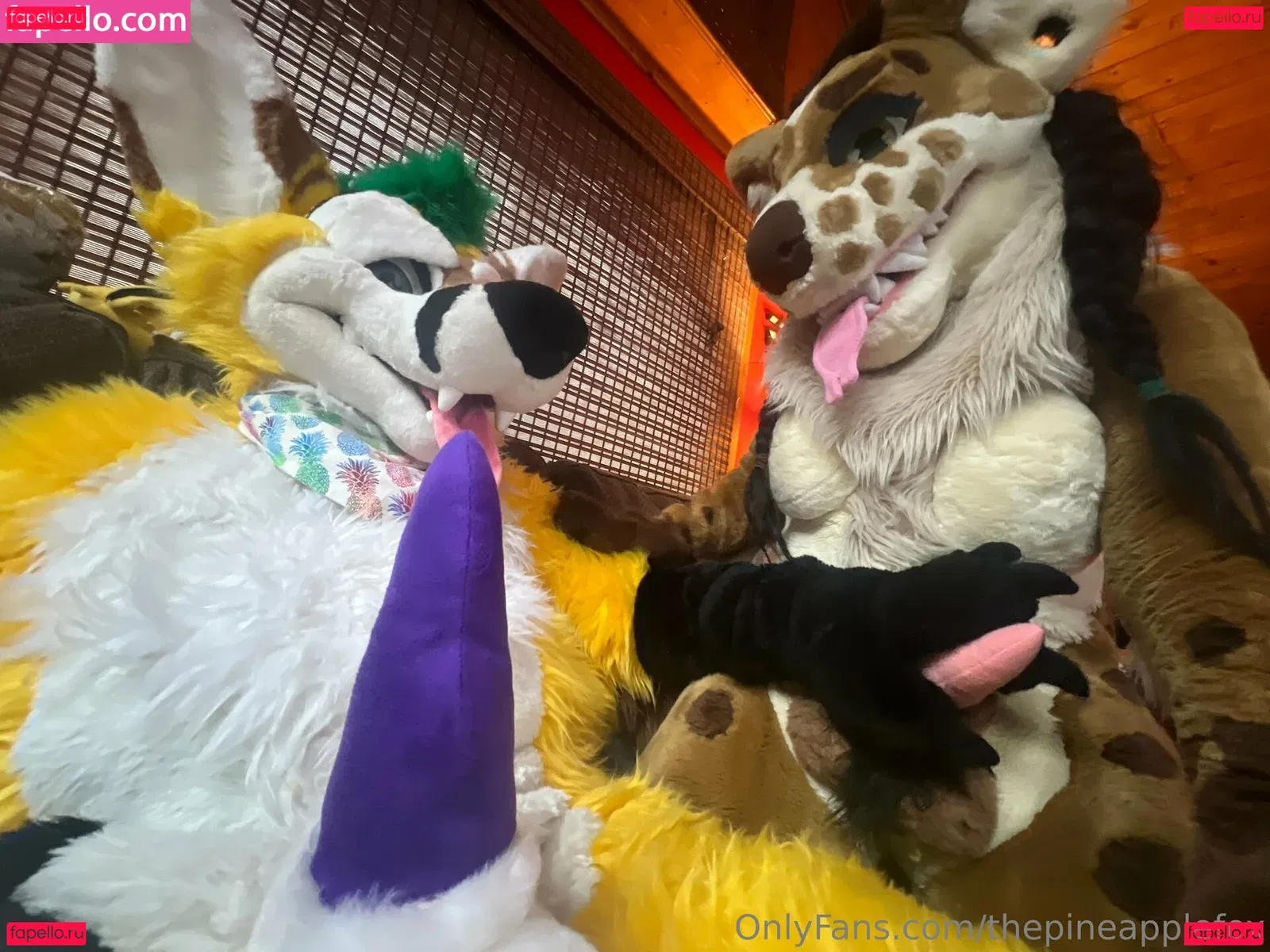 thepineapplefox Onlyfans Photo Gallery 