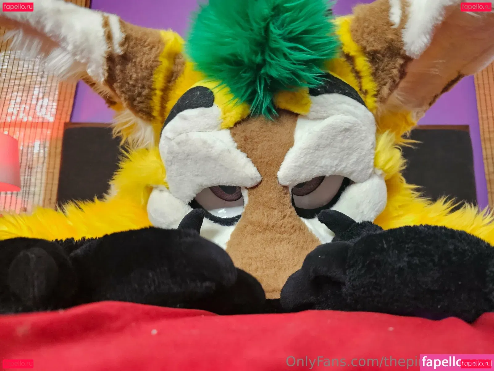 thepineapplefox Onlyfans Photo Gallery 