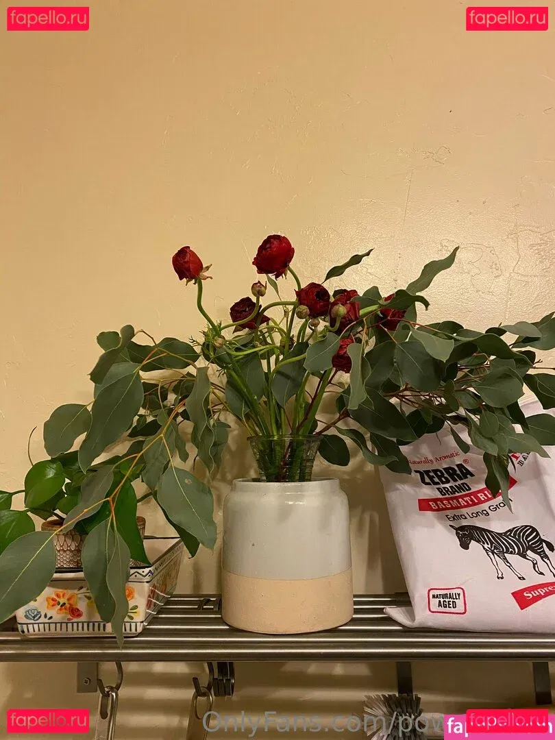 powerfulclit Onlyfans Photo Gallery 