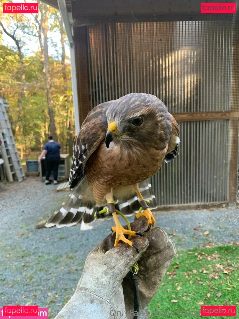 chapstickbxtch Onlyfans Photo Gallery 