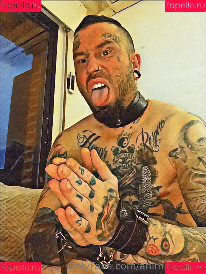 animalbeetle Onlyfans Photo Gallery 