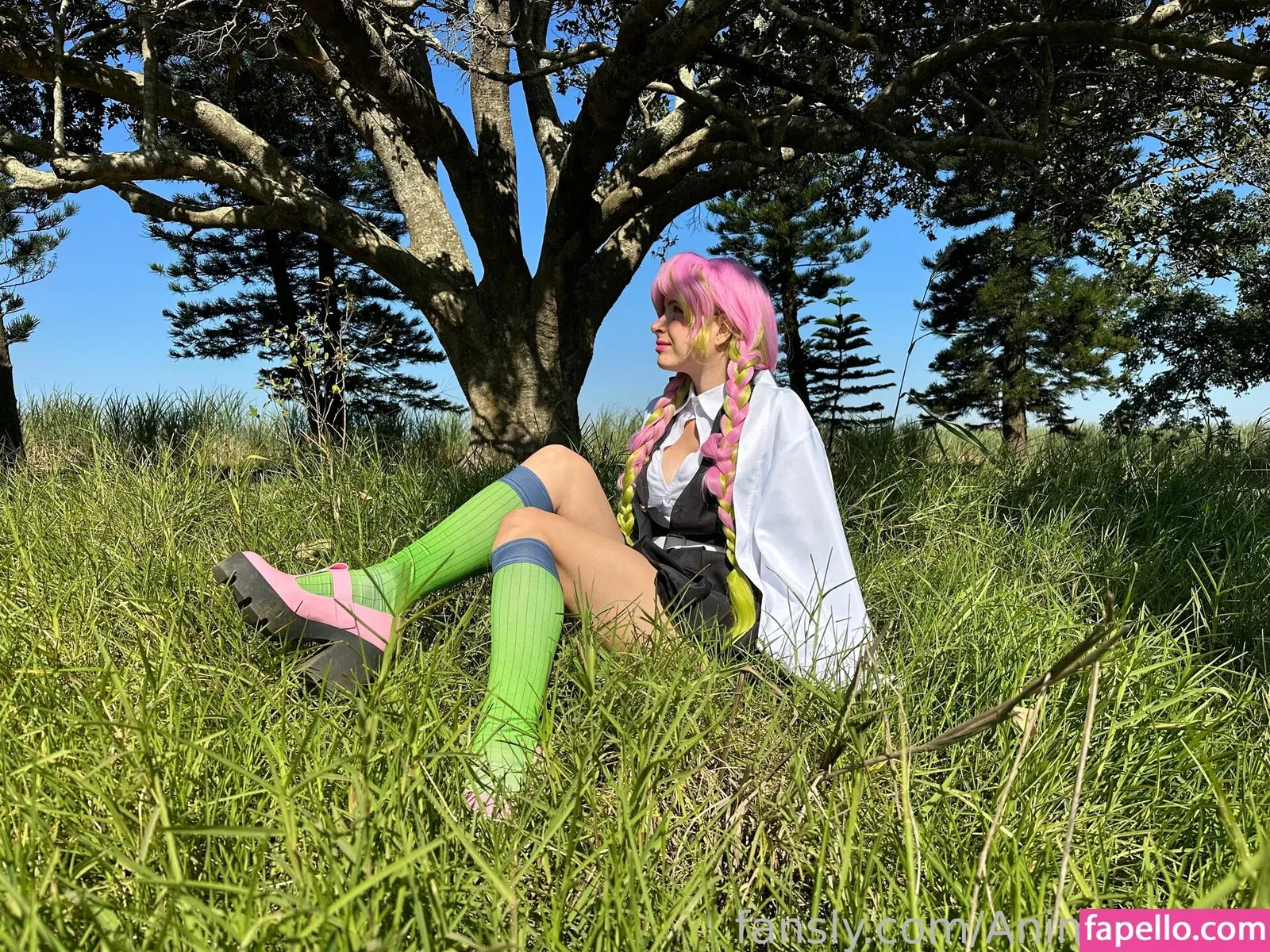 Animaechan Onlyfans Photo Gallery 