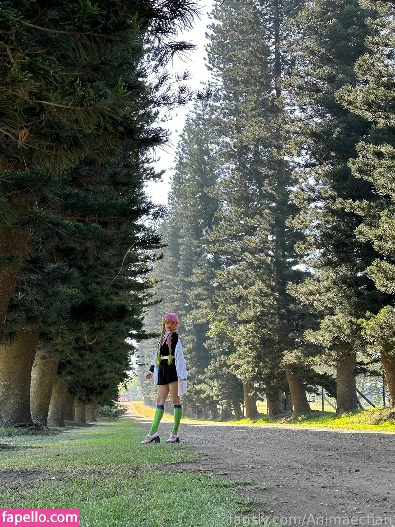 Animaechan Onlyfans Photo Gallery 