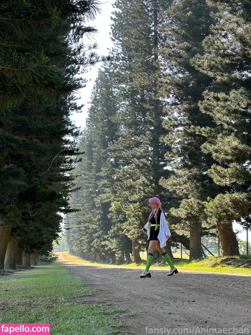 Animaechan Onlyfans Photo Gallery 