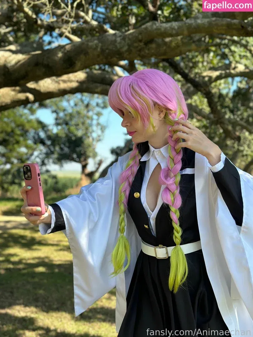 Animaechan Onlyfans Photo Gallery 