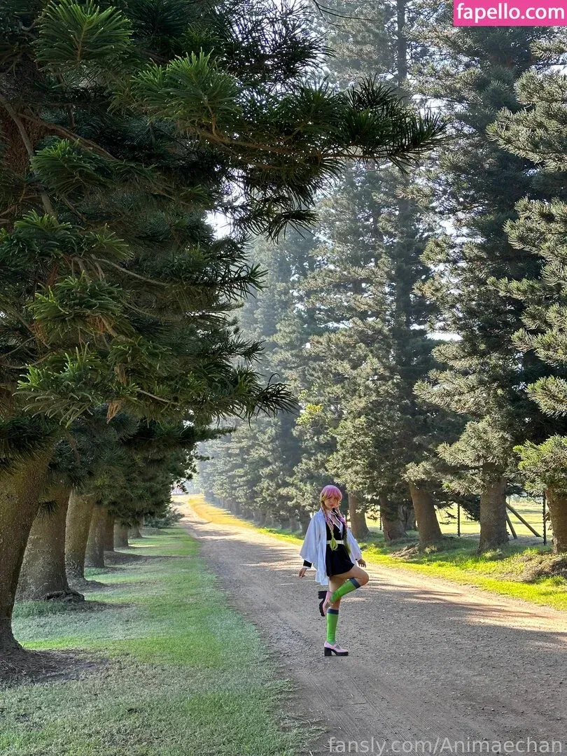 Animaechan Onlyfans Photo Gallery 