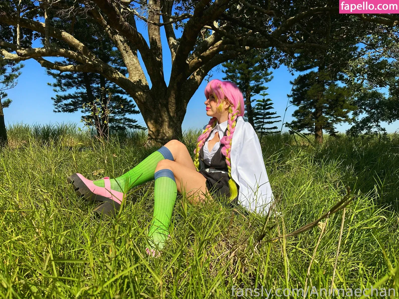 Animaechan Onlyfans Photo Gallery 