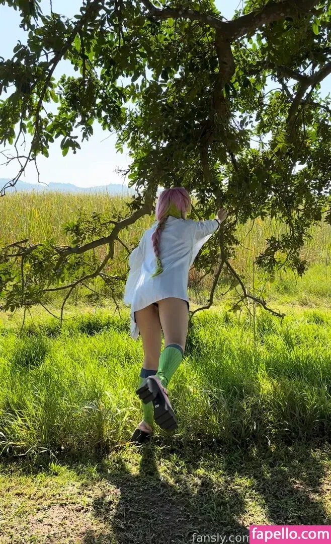 Animaechan Onlyfans Photo Gallery 