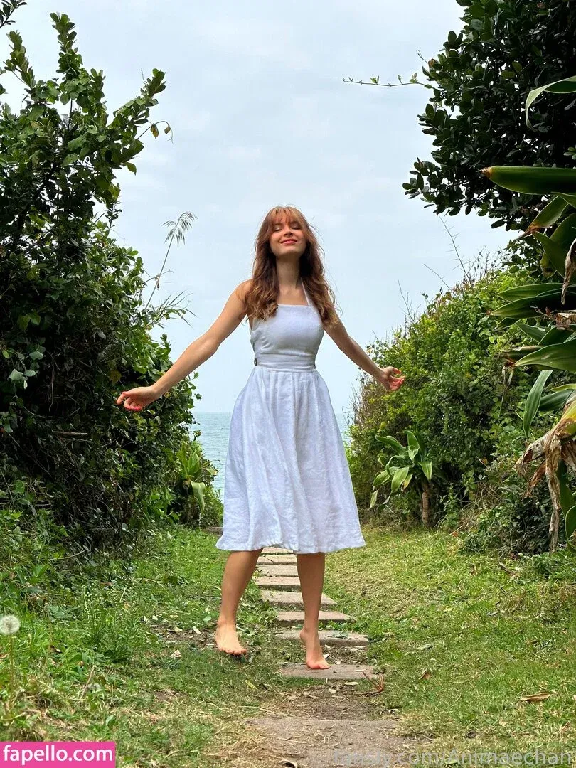 Animaechan Onlyfans Photo Gallery 