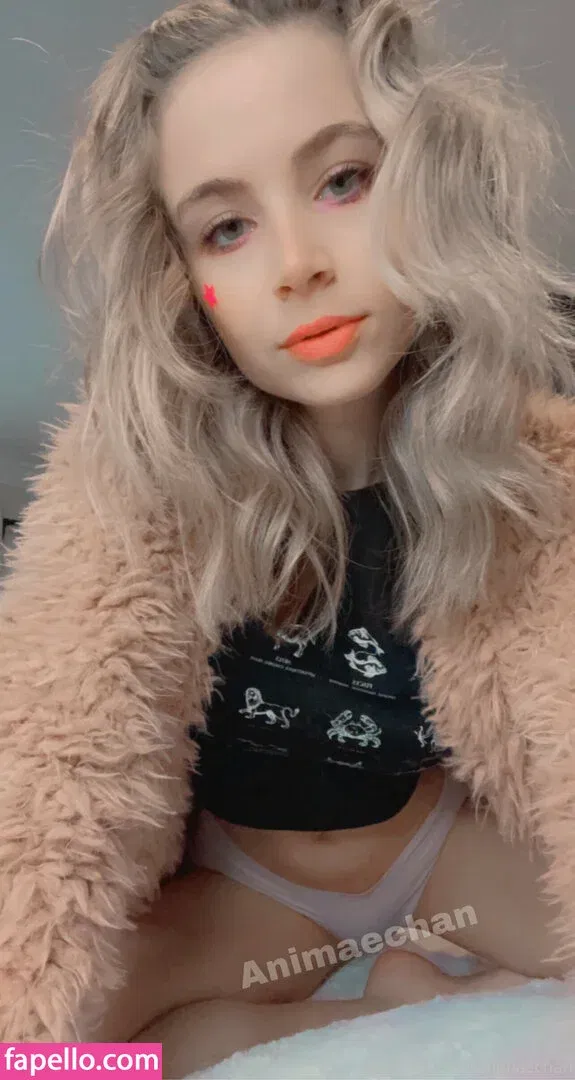 Animaechan Onlyfans Photo Gallery 