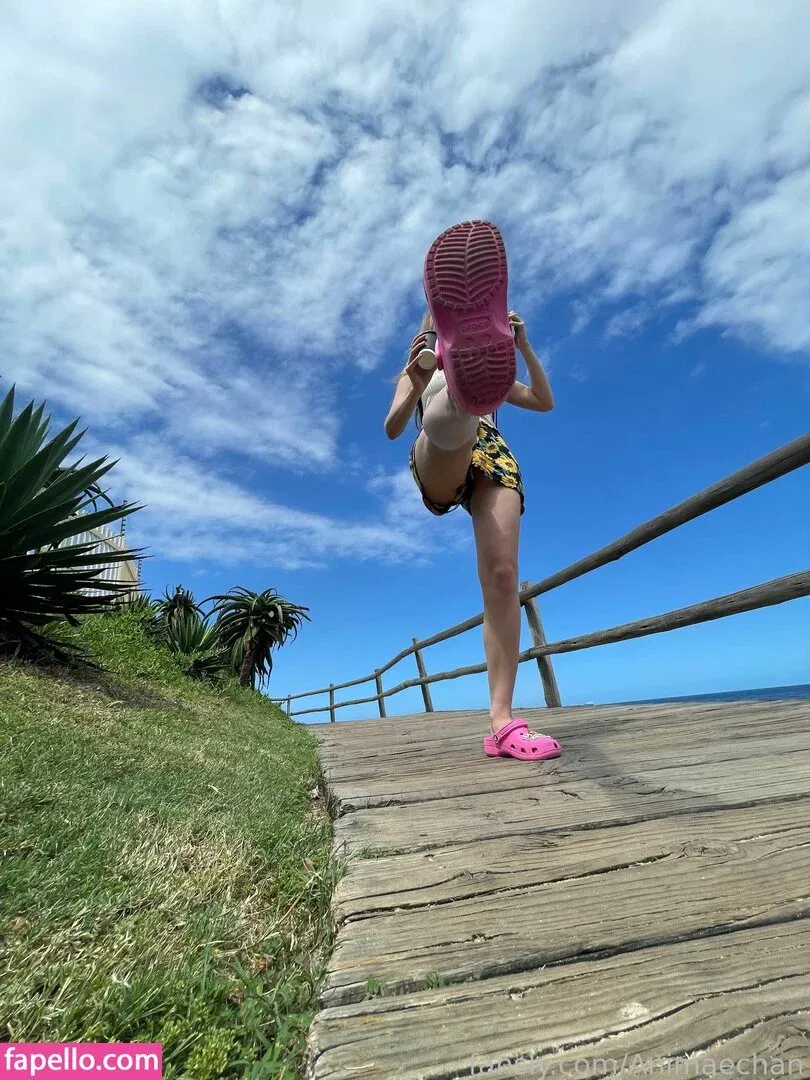 Animaechan Onlyfans Photo Gallery 