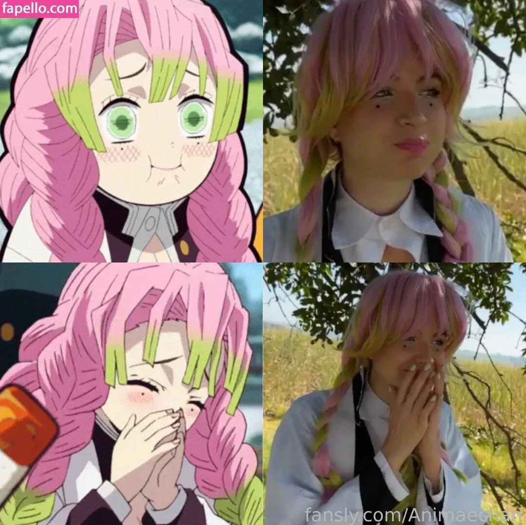 Animaechan Onlyfans Photo Gallery 