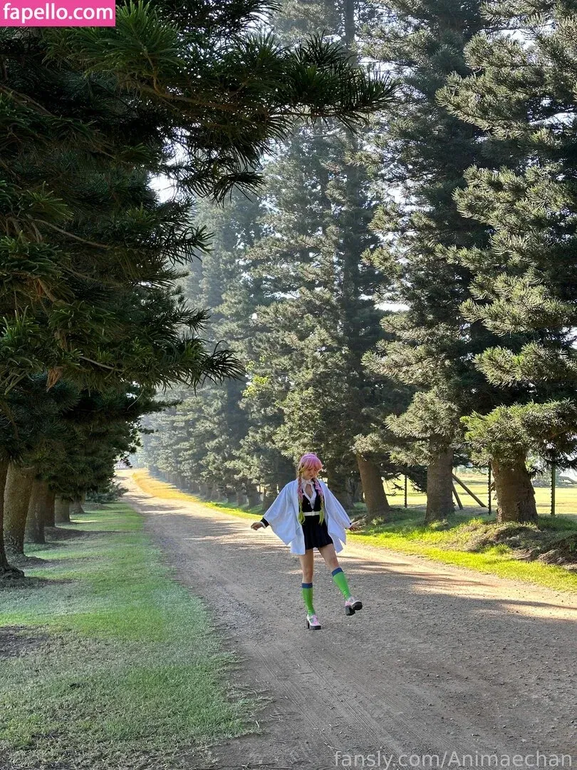 Animaechan Onlyfans Photo Gallery 