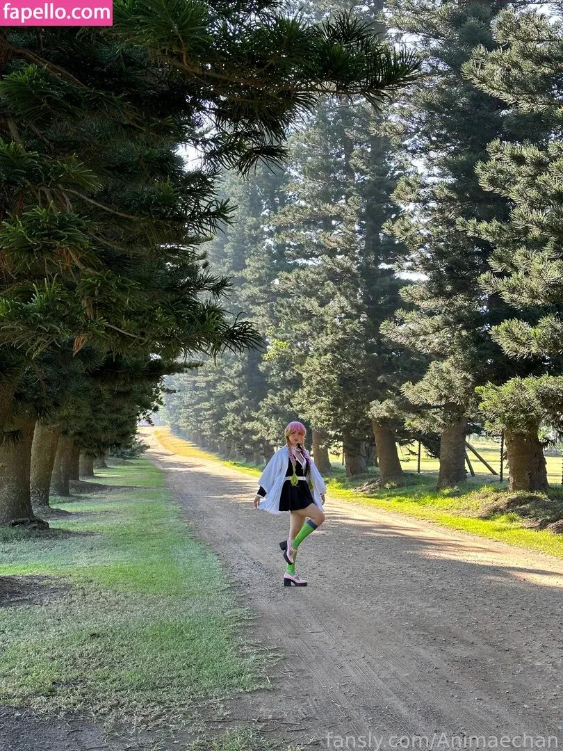 Animaechan Onlyfans Photo Gallery 