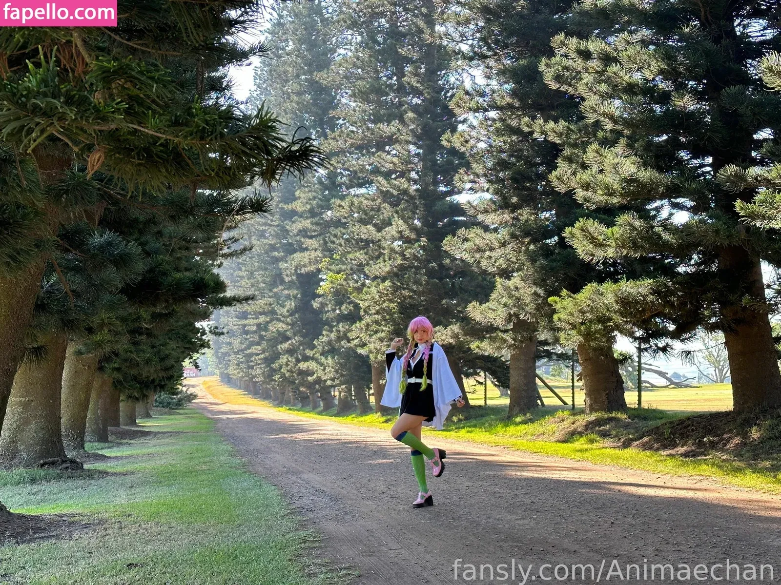 Animaechan Onlyfans Photo Gallery 