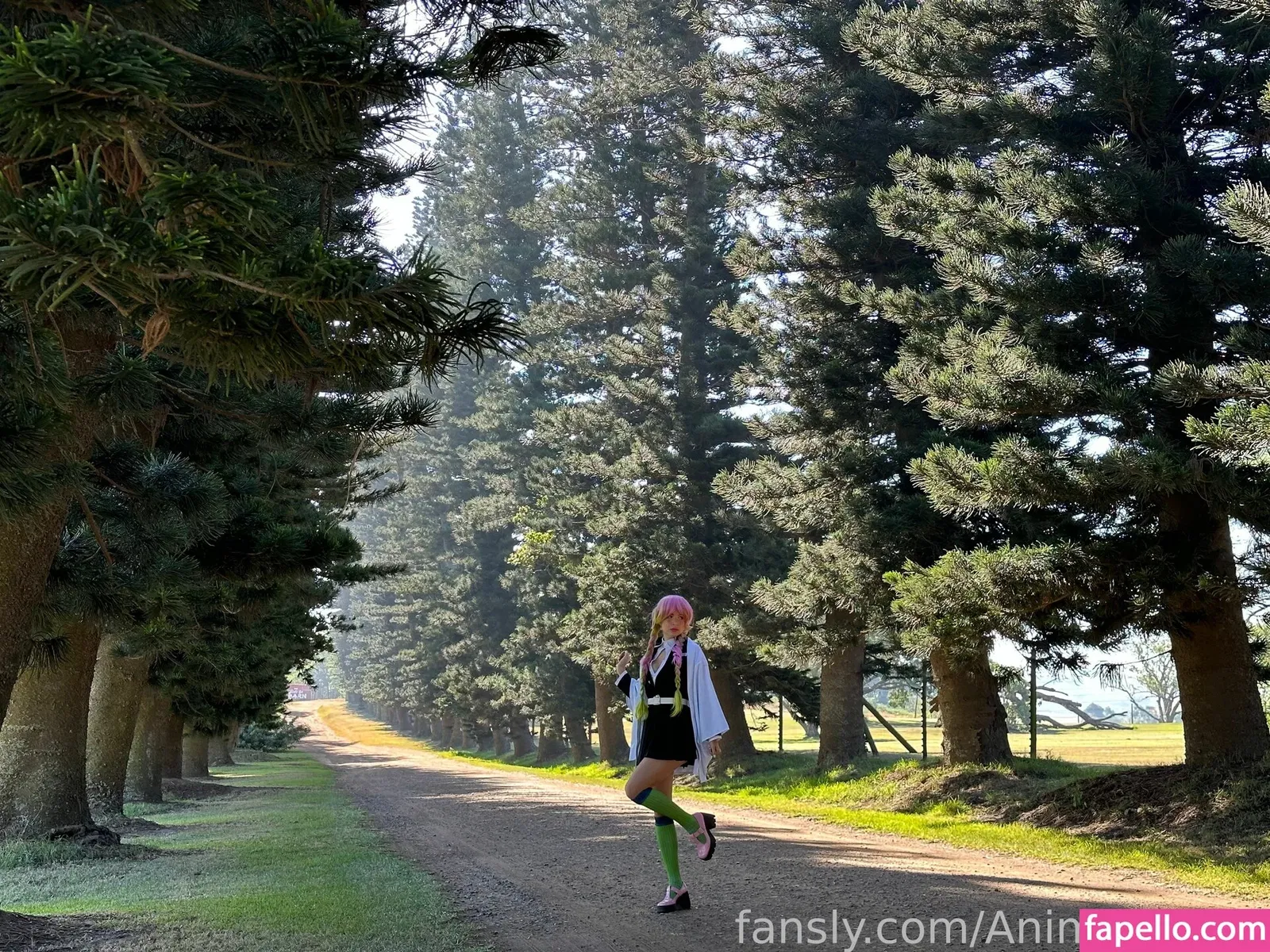 Animaechan Onlyfans Photo Gallery 